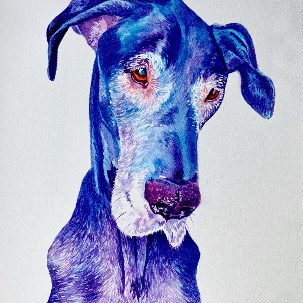 Pet Portrait - Picture 2 of 6